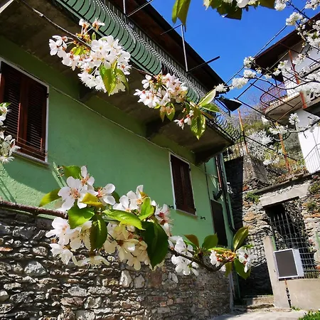 House-1 By Interhome Rezzonico