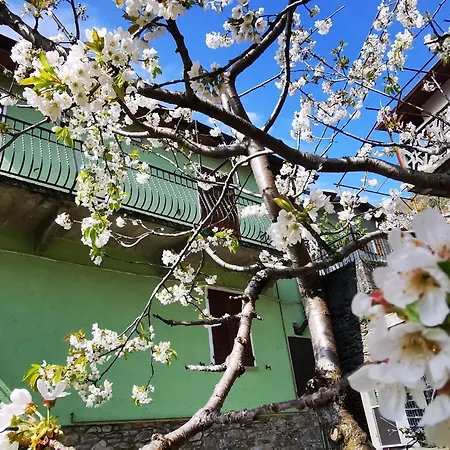 House-1 By Interhome Rezzonico